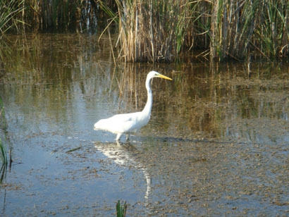 Sfantu Gheorghe - Rumänien - Donaudelta Sfantu Gheorghe - Rumänien - Donaudelta