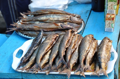 Omul aus dem Baikalsee Omul aus dem Baikalsee