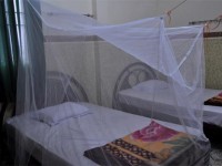 Bild: Rechteckiges Mückennetz in einer einfachen Unterkunft in Vietnam Bild: Rechteckiges Mückennetz in einer einfachen Unterkunft in Vietnam
