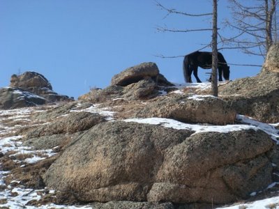 Tereldsh Nationalpark - Mongolei