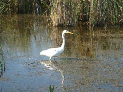 Sfantu Gheorghe - Rumänien - Donaudelta