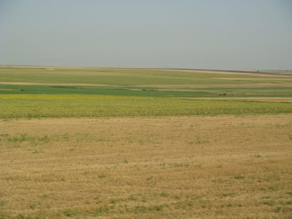 Felder und Weite in Rumänien