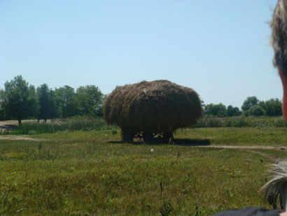 Letea - Rumnien