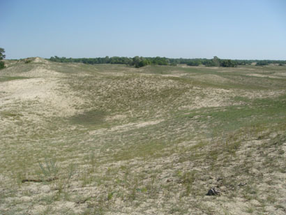 Wüstendünen von Letea - Rumänien