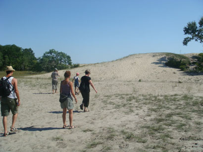 Wüstendünen von Letea - Rumänien