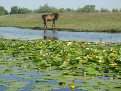 Donaudelta - Rumänien