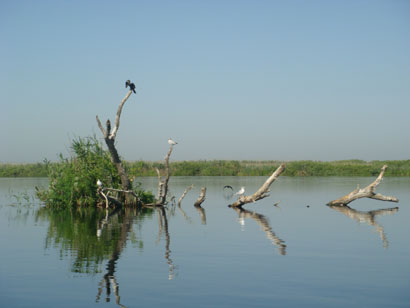 Donaudelta - Rumänien