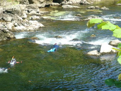 Stromschnellen beim Scuben in der Traun