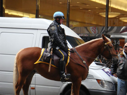 Berittene Polizei in New York - Bild: Cindy & Alex