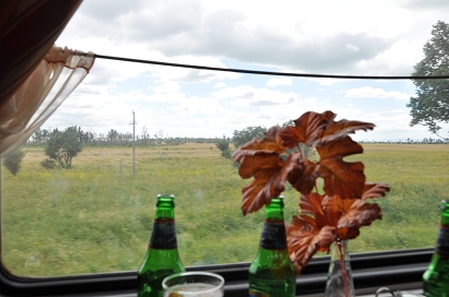 Blick aus dem Speisewagen