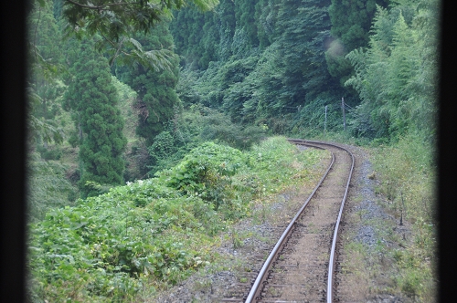 Trans-Kyushu-Express im Wald