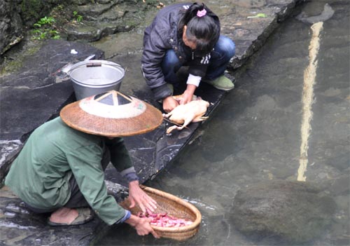 Bild: Ente waschen am Fluss in Dehang