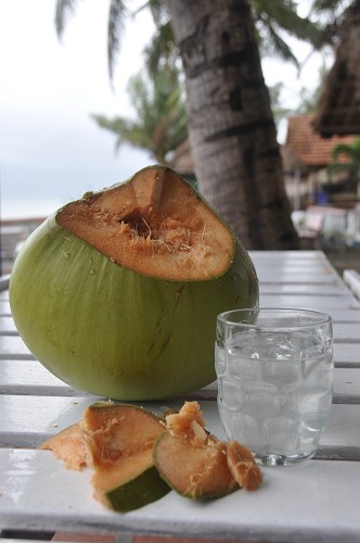 Bild: Kokosnuss und Kokosmilch