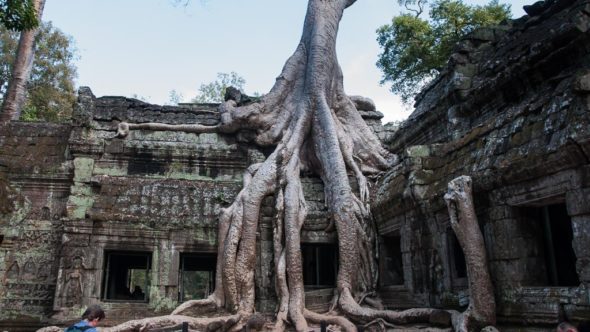 Ta Prohm Tempel in Angkor Wat