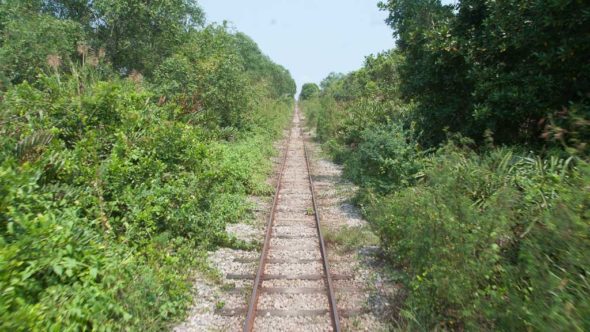 Maeklong Railway durch den Dschungel