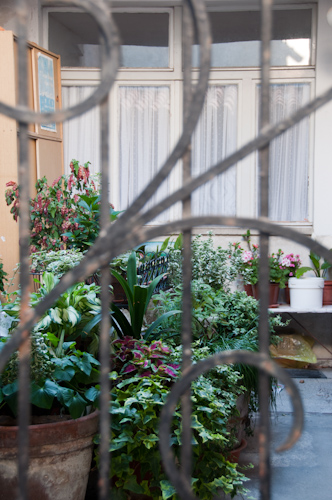 Bild: Blumen in einem Hof in Piran