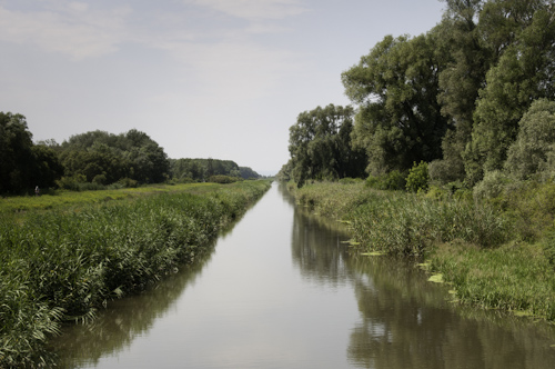 Bild: Der Einserkanal im Seewinkel ist die Grenze zu Ungarn