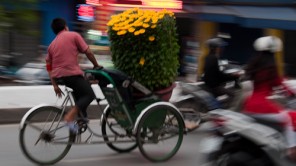 Bild: Große Töpfe mit gelben Blumen für das Tet-Fest werden auch am Cyclo transportiert
