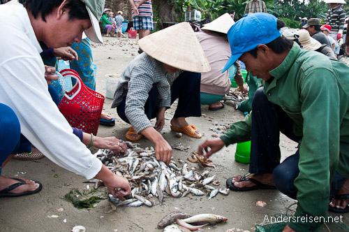 Bild: Fischer am Strand von Mui Ne - Vietnam