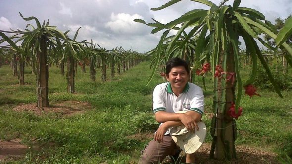 Phu bei einer Drachenfruchtpflanze mit Früchten - Bild: Nguyen Vinh Phu