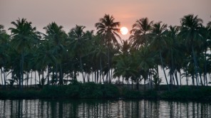 Bild: Valiyaparamba-Backwaters