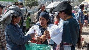 Bild: Meerschweinchen am Markt in Otavalo