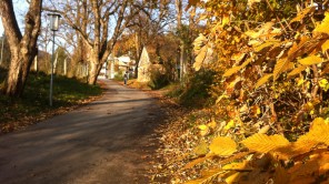 Bild: Herbst am Plainberg/Gaglham bei Salzburg