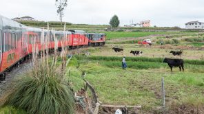 Bild: Tren Crucero in Ecuador