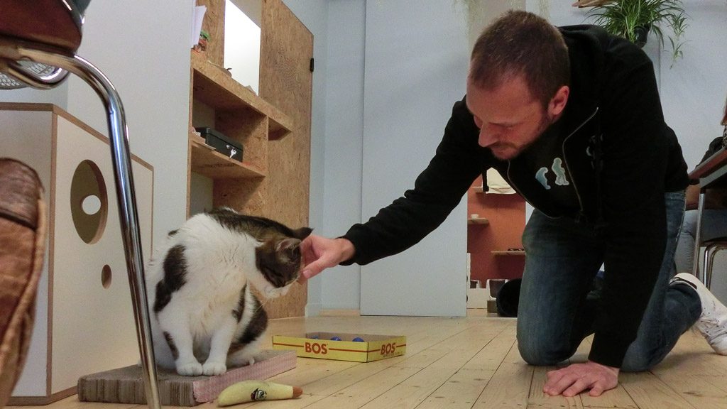 Gerhard im Cat Café in Gent