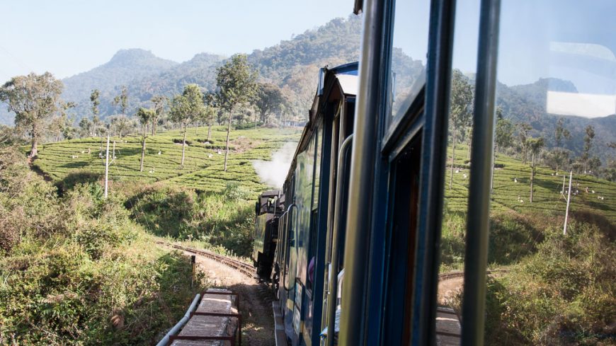 Teeplantagen entlang der Nilgiri Bergeisenbahn