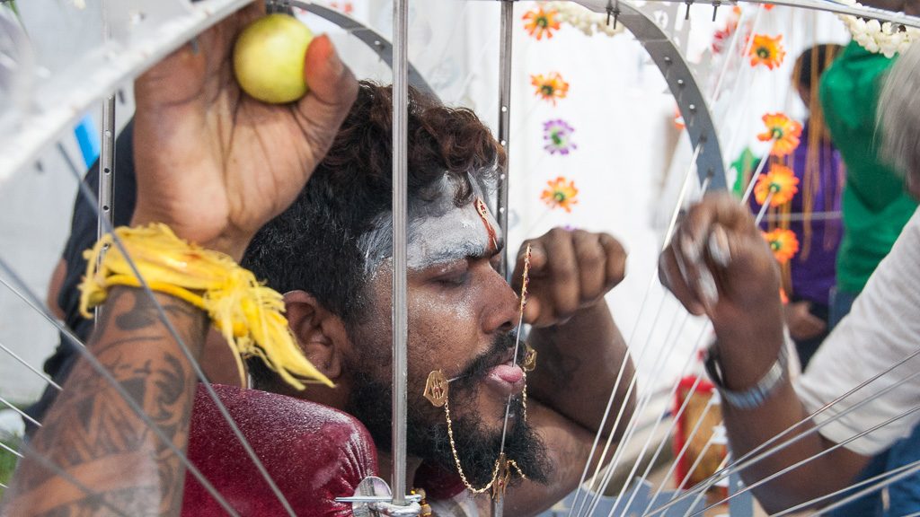 Durchstoßen der Zunge mit einem Metallstab als Vorbereitung für Thaipusam in Singapur