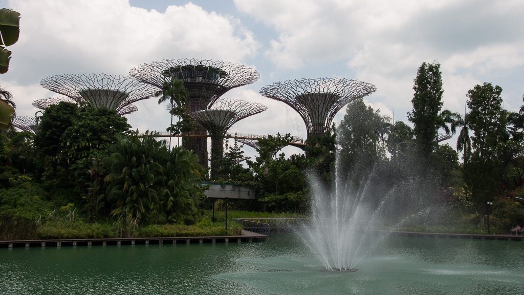 Supertrees in den Gardens by the bay