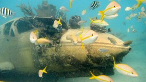 Tauchplatz Planewreck - Bild: (c) Aruba Thourism Authority