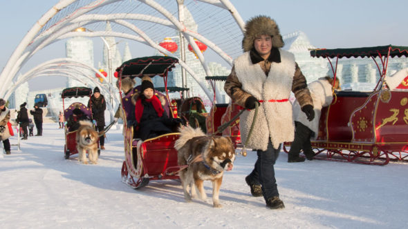 Hundeschlitten in der Ice & Snow World in Harbin