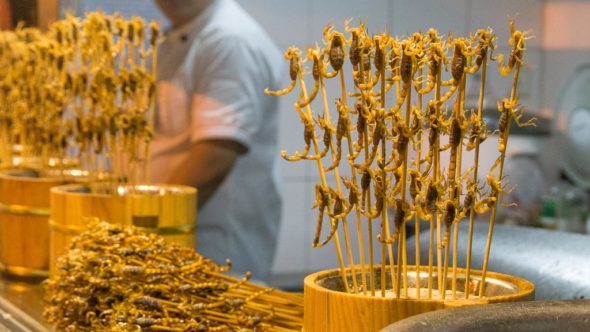 Skorpione am Stick am Nachtmarkt in Peking, China