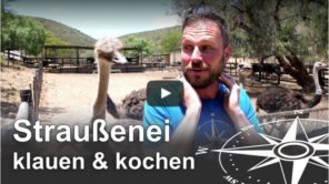 Straußenei klauen und kochen - Südafrika Challenge (Video)