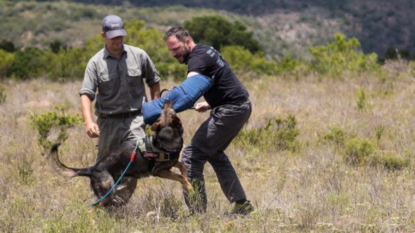 Anti Wilderer Einheit im Kariega Game Reserve in Südafrika