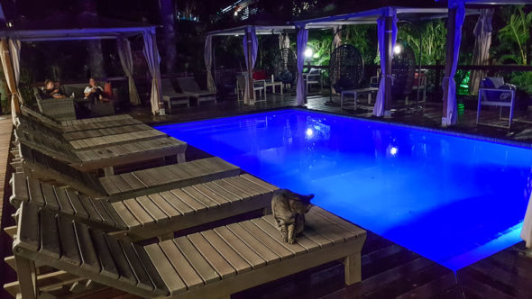 Besonders übernachten in St. Lucia in Südafrika