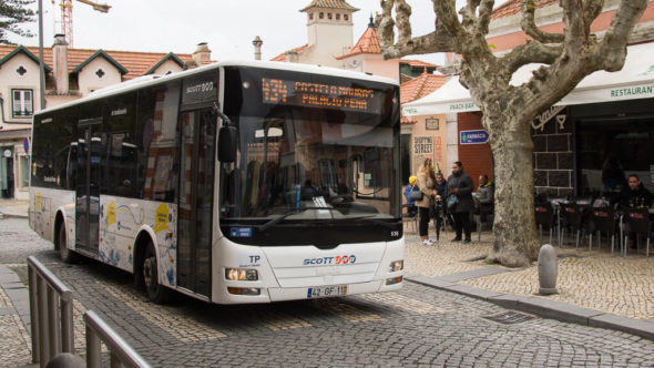 Scotturb Bus 434 Bahnhof Sintra - Palacio Pena