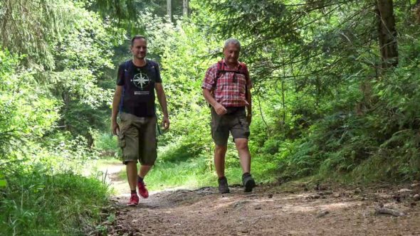 Ausflugstipp: Wandern Bayerischer Wald - Bierfernwanderweg